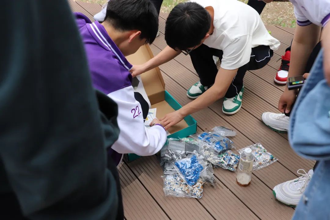 皇家园林·中华文明 颐和园·圆明园－一日社会实践