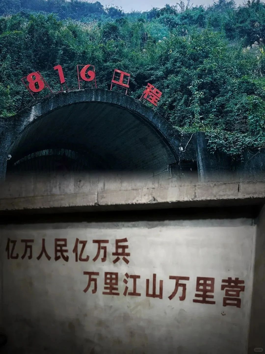 1741661567642553.jpg