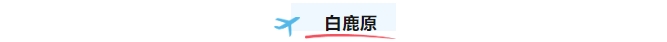 1741673397556010.png